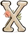the letter x with a rose on it.jpg